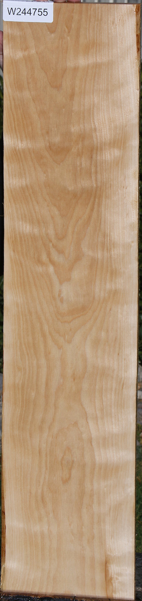 Curly Birch Lumber
