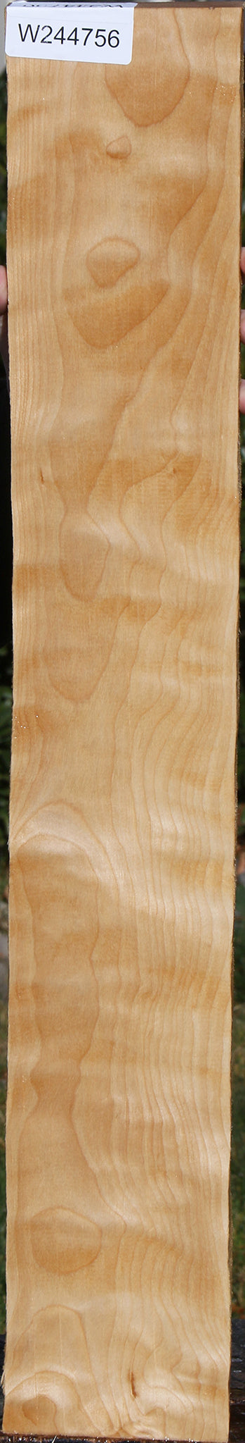 Curly Birch Lumber