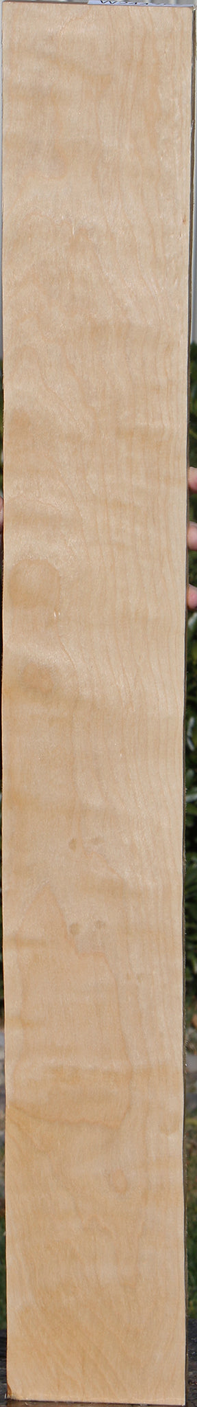 Curly Birch Lumber