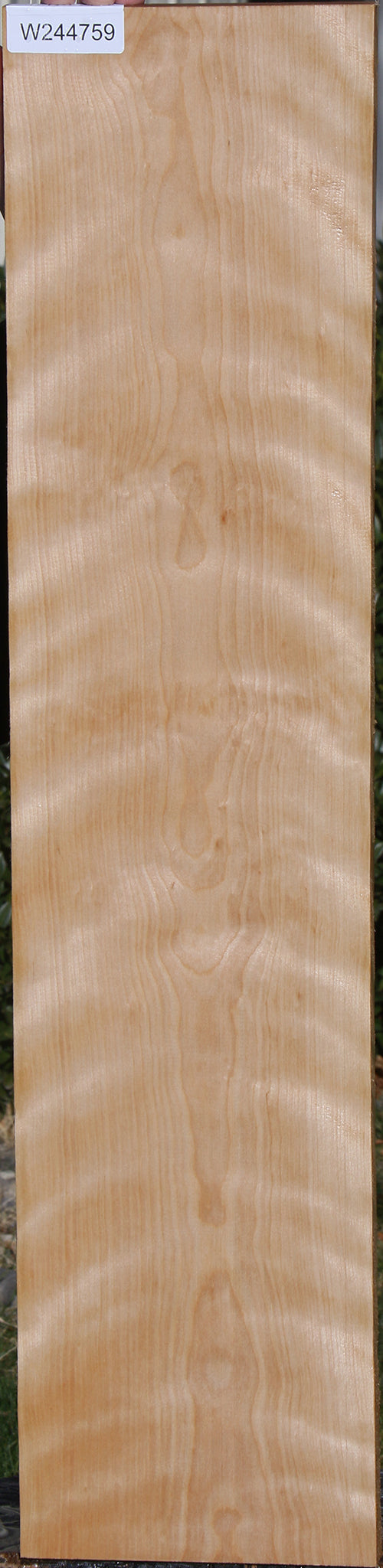 Curly Birch Lumber