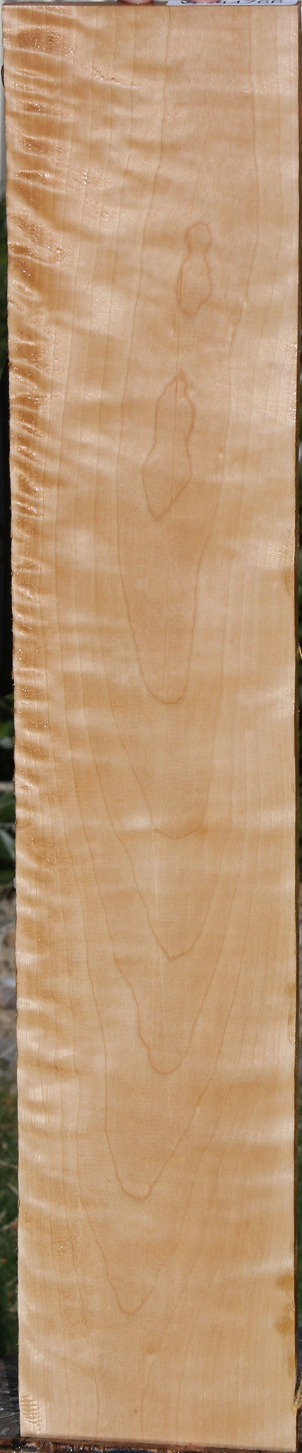 Curly Birch Lumber