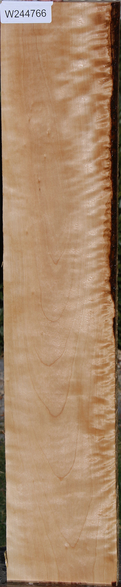 Curly Birch Lumber