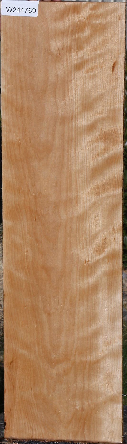 Curly Birch Lumber