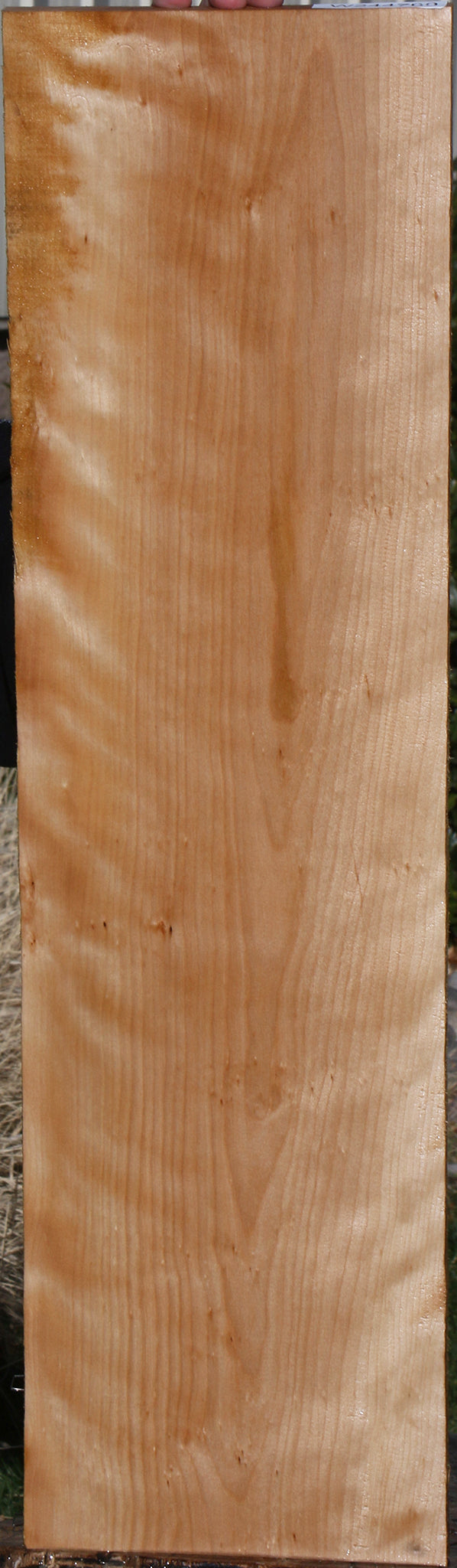 Curly Birch Lumber
