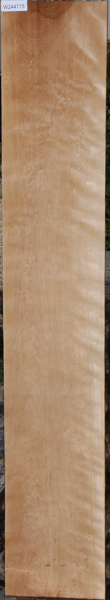 Curly Birch Lumber