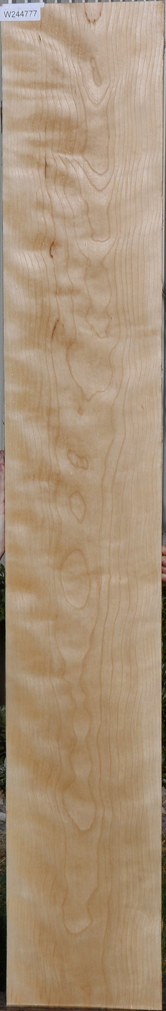 Curly Birch Lumber