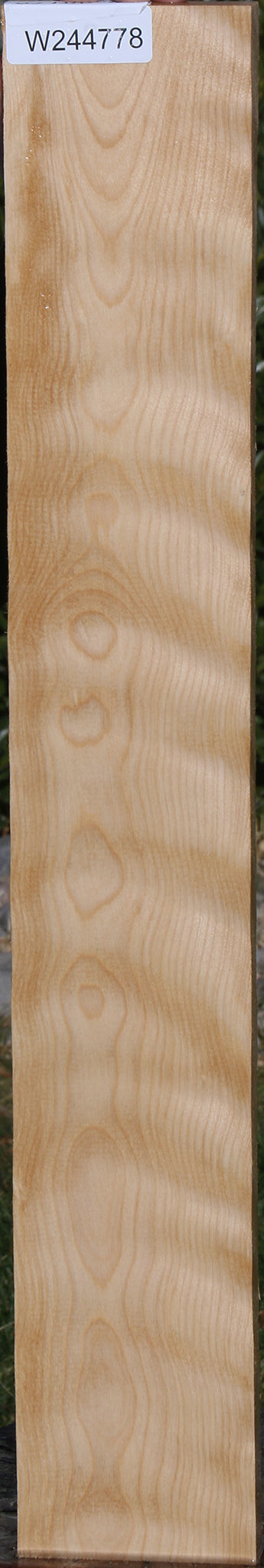 Curly Birch Lumber