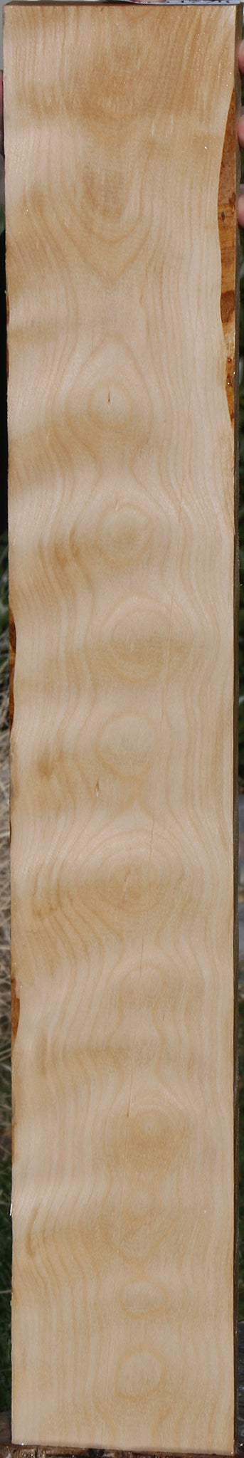 Curly Birch Lumber