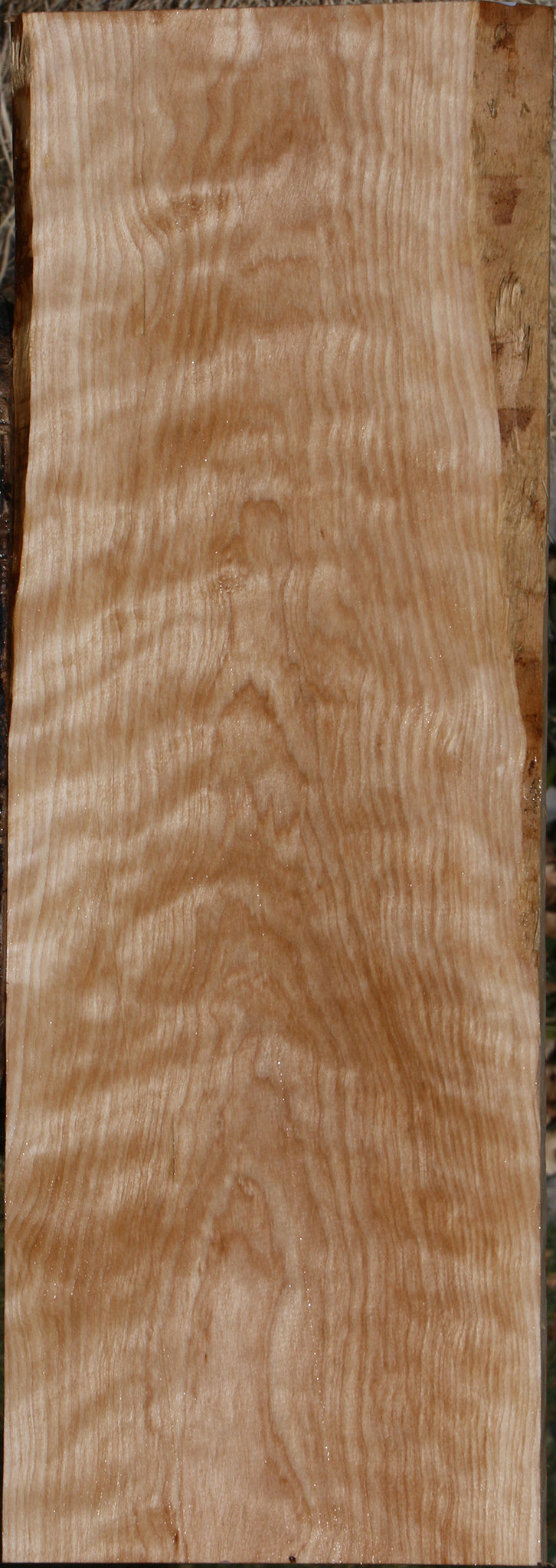 Curly Birch Lumber