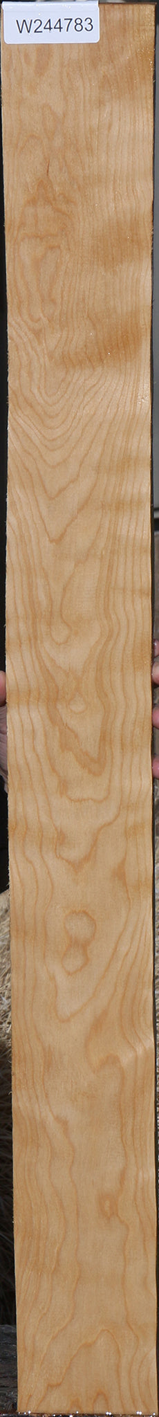 Curly Birch Lumber