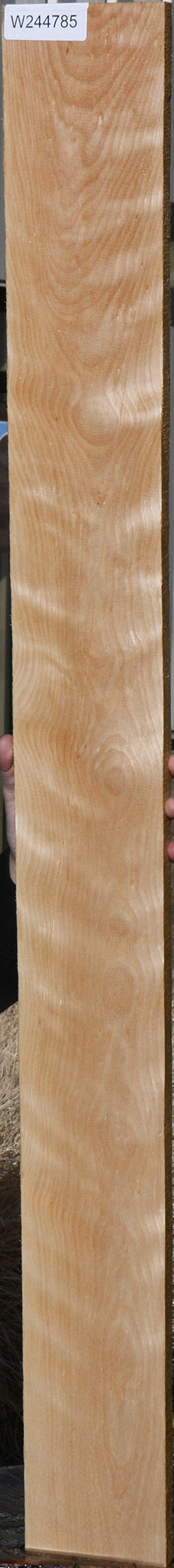 Curly Birch Lumber