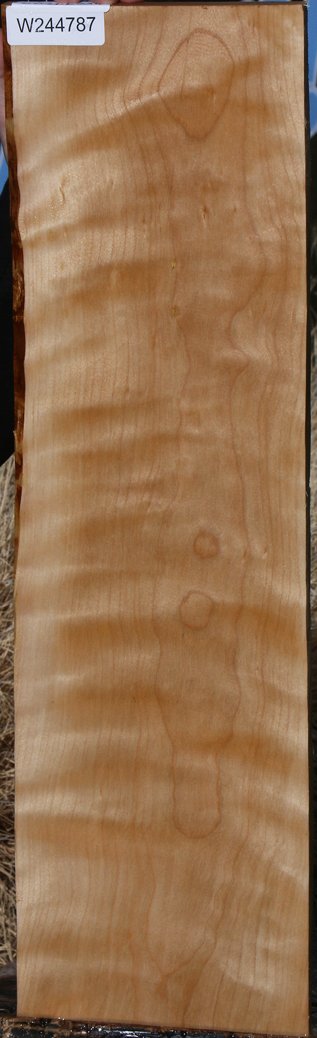 Curly Birch Lumber