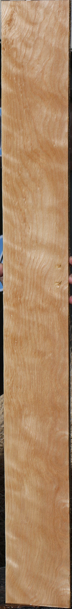 Curly Birch Lumber