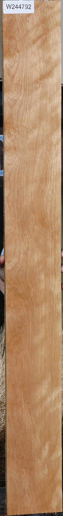 Curly Birch Lumber