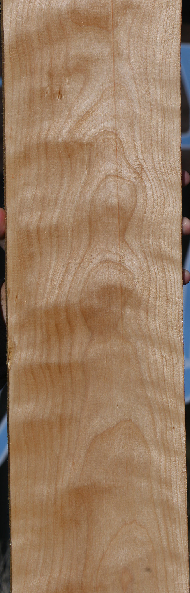 Curly Birch Lumber