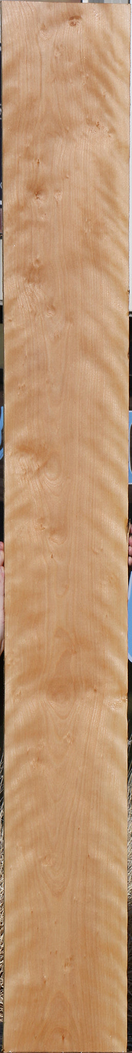 Curly Birch Lumber