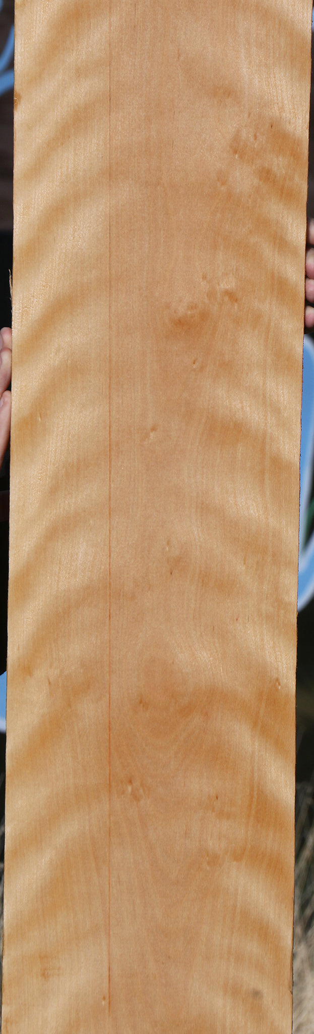 Curly Birch Lumber