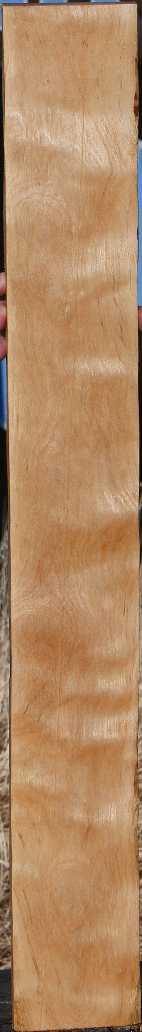 Curly Birch Lumber