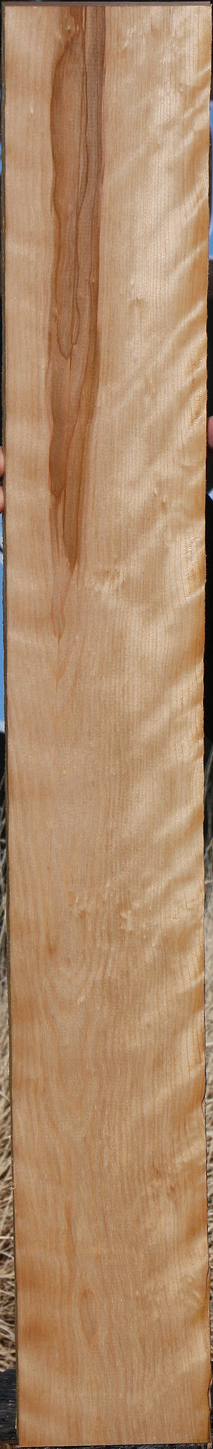 Curly Birch Lumber