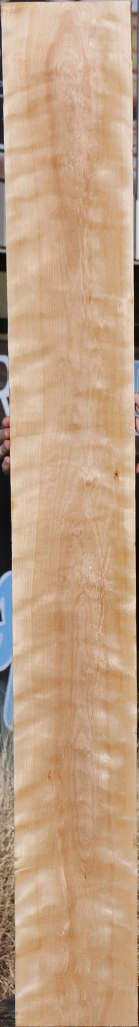 Curly Birch Lumber