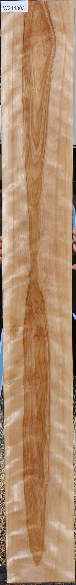 Curly Birch Lumber