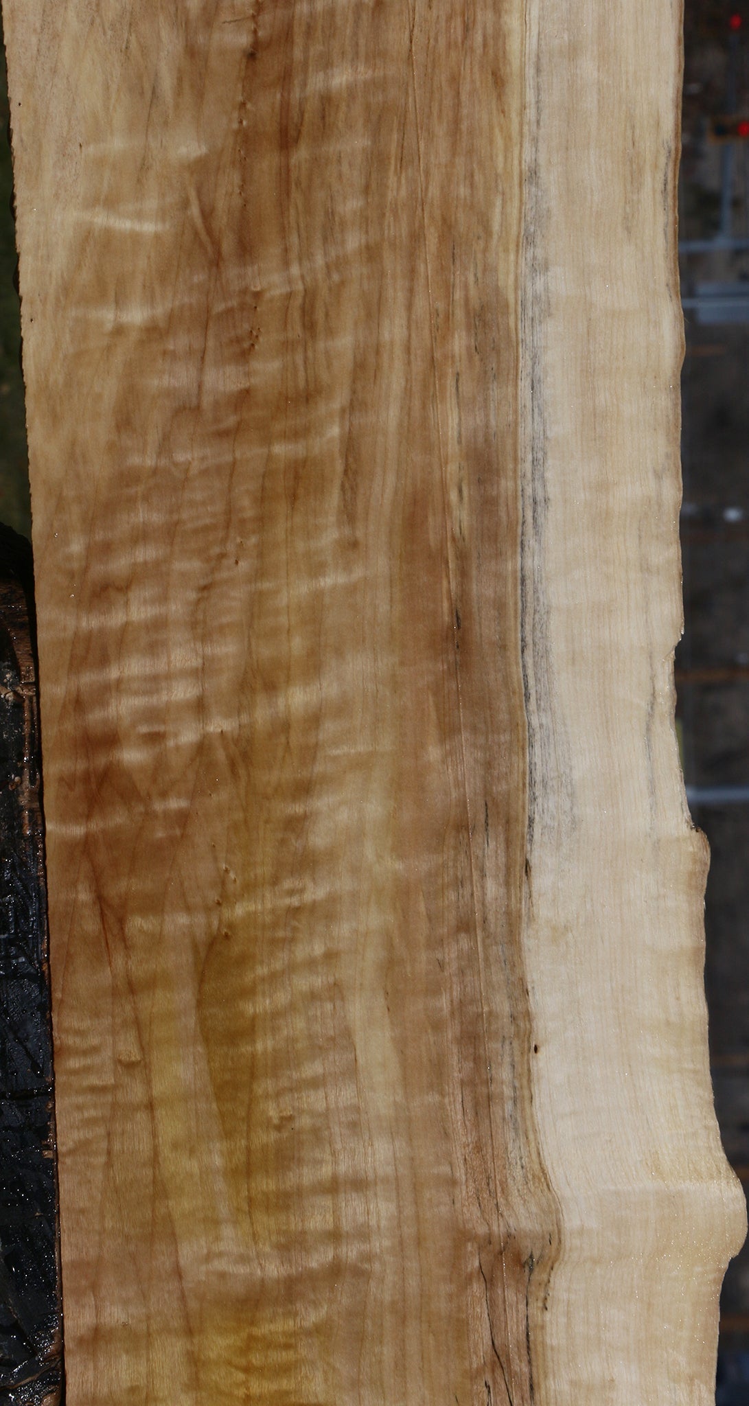 Figured Black Cottonwood Live Edge Lumber