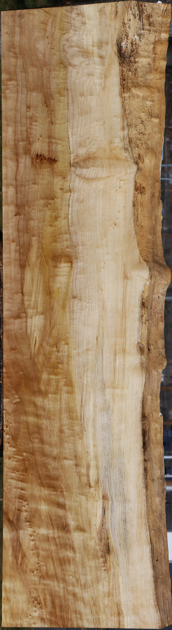 Figured Black Cottonwood Live Edge Lumber