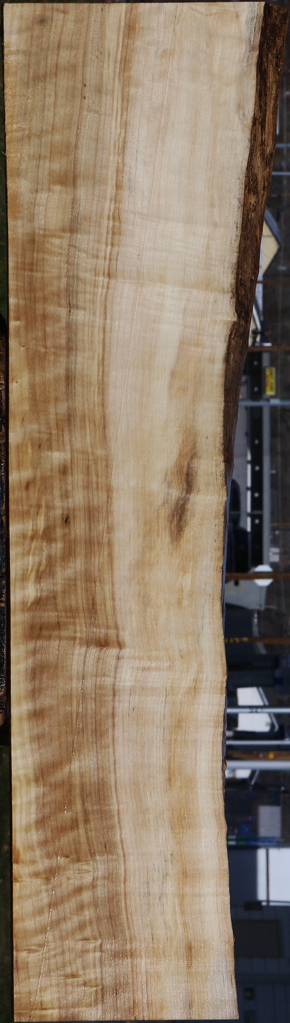 Figured Black Cottonwood Live Edge Lumber