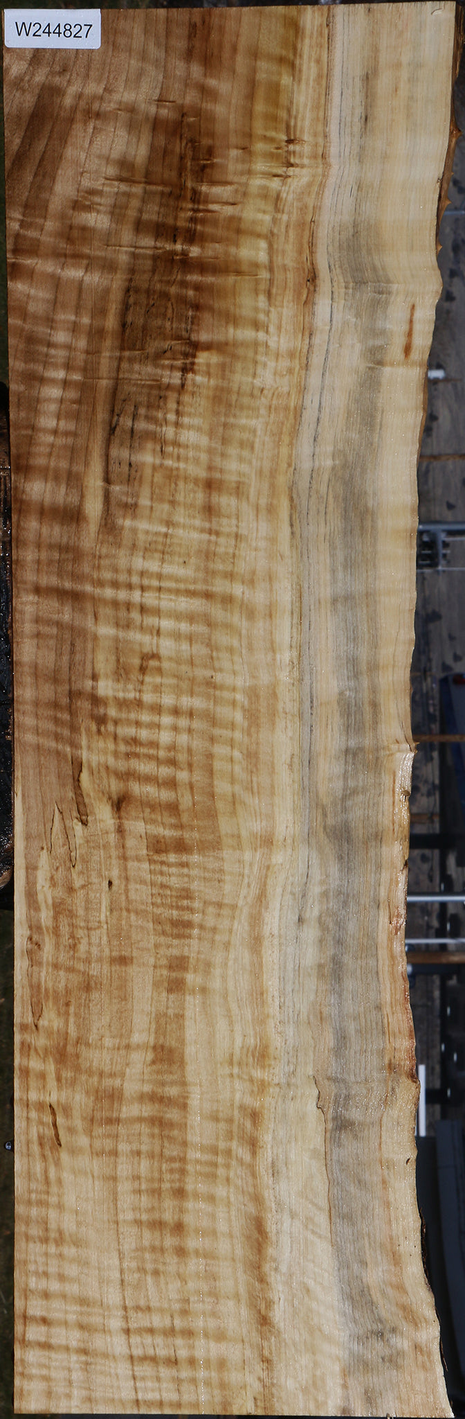 Extra Fancy Black Cottonwood Live Edge Lumber