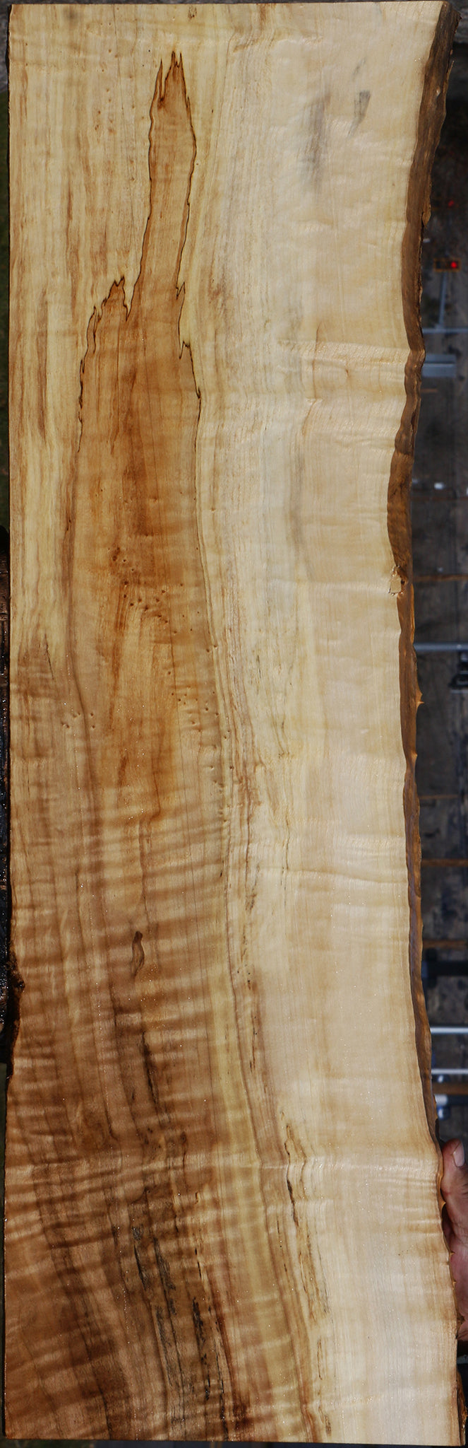 Extra Fancy Black Cottonwood Live Edge Lumber