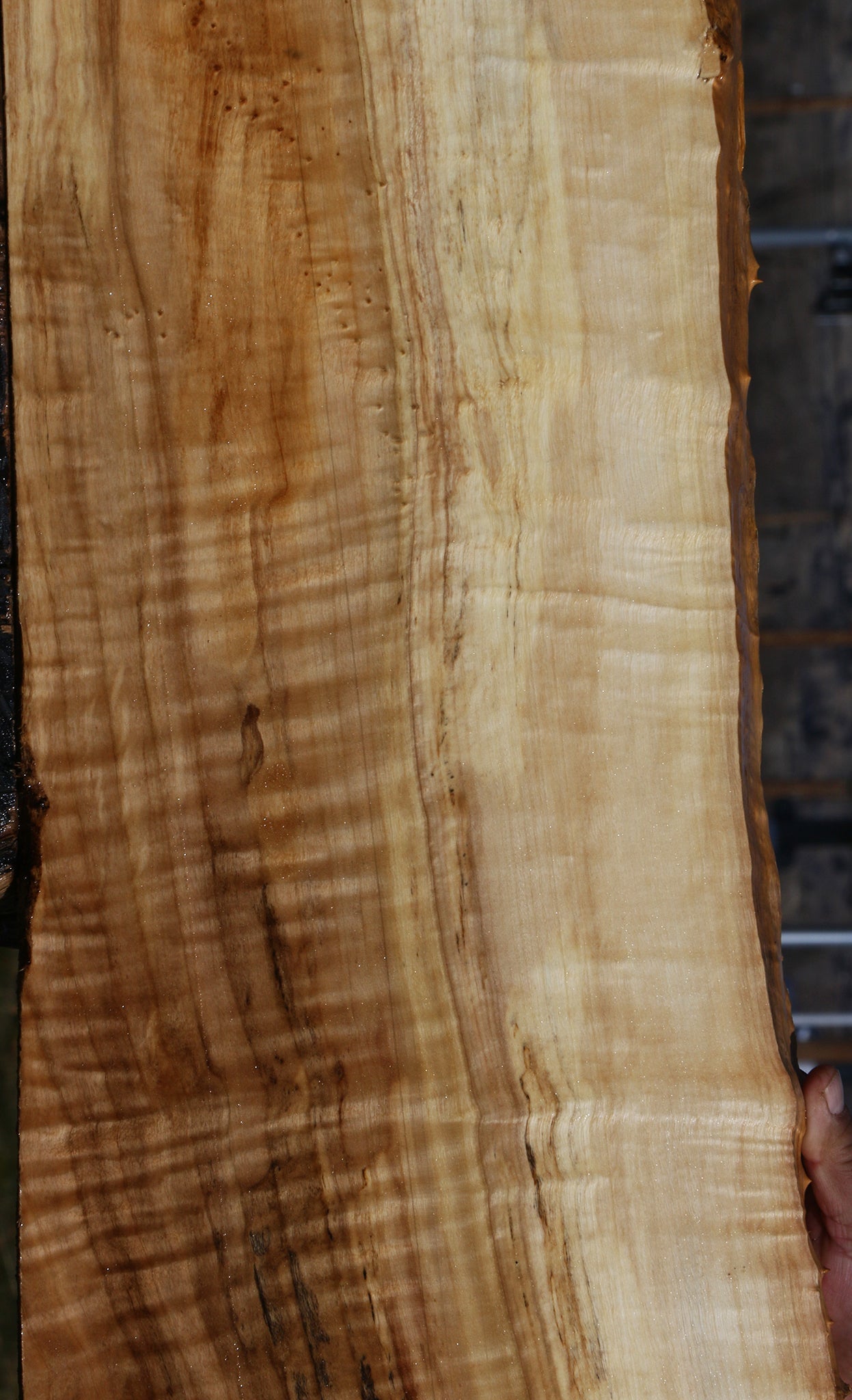 Extra Fancy Black Cottonwood Live Edge Lumber