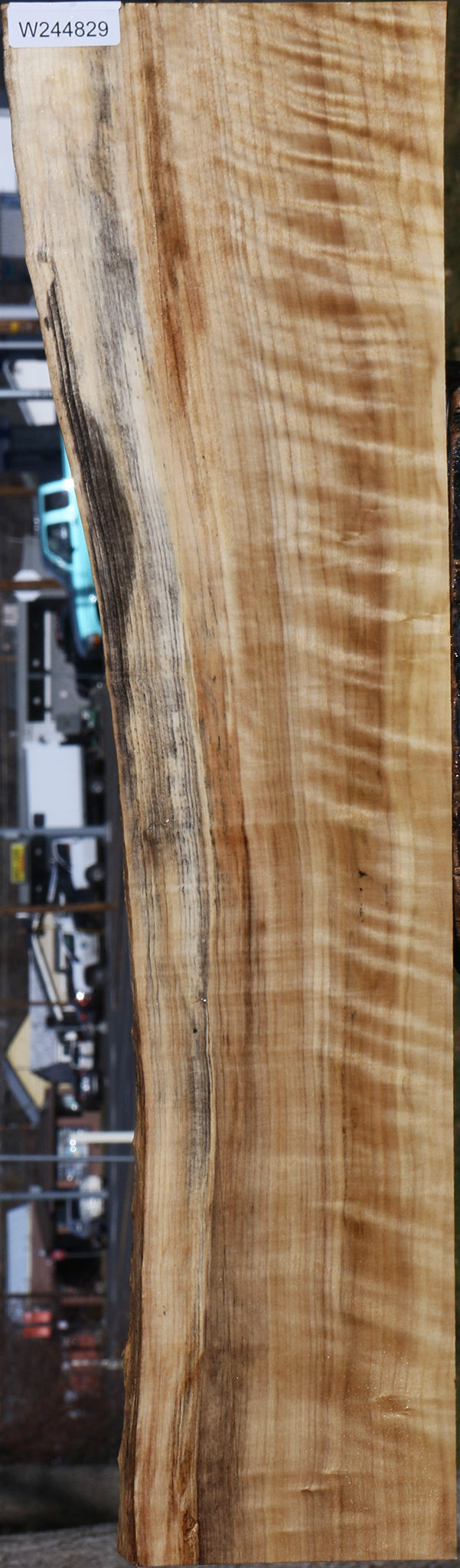 Extra Fancy Black Cottonwood Live Edge Lumber