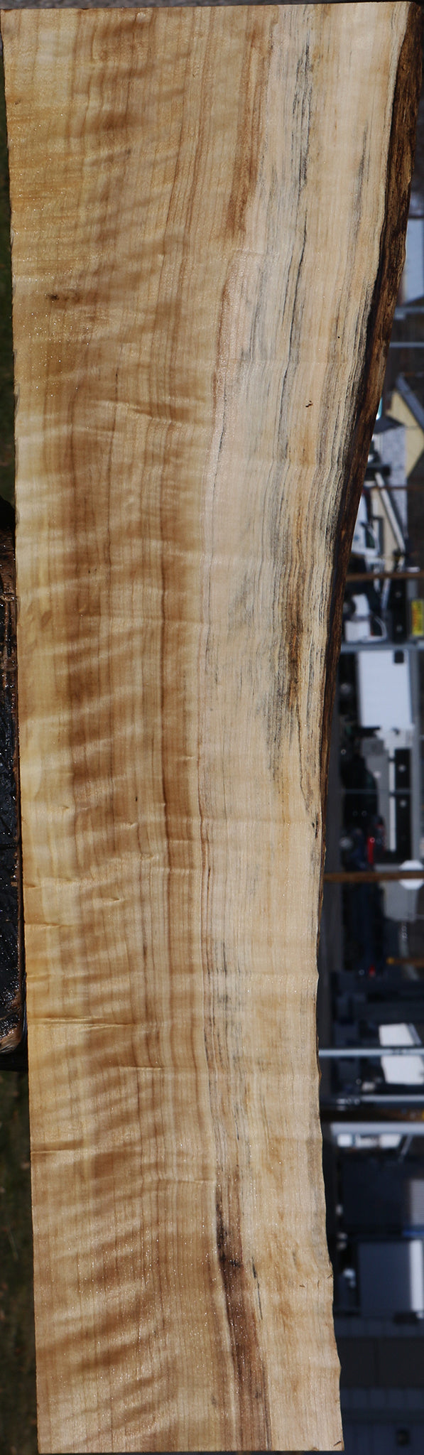 Extra Fancy Black Cottonwood Live Edge Lumber