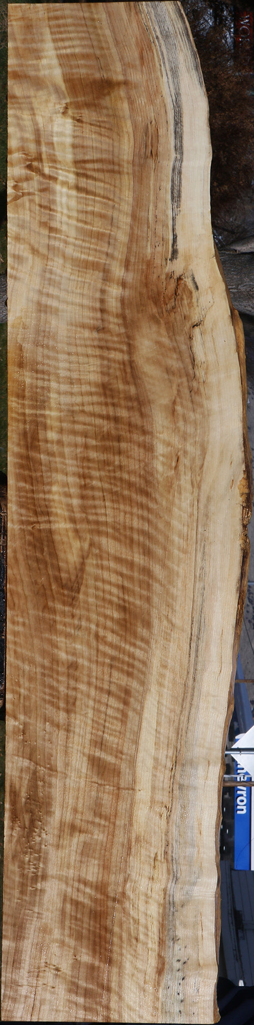 Extra Fancy Rustic Black Cottonwood Live Edge Lumber