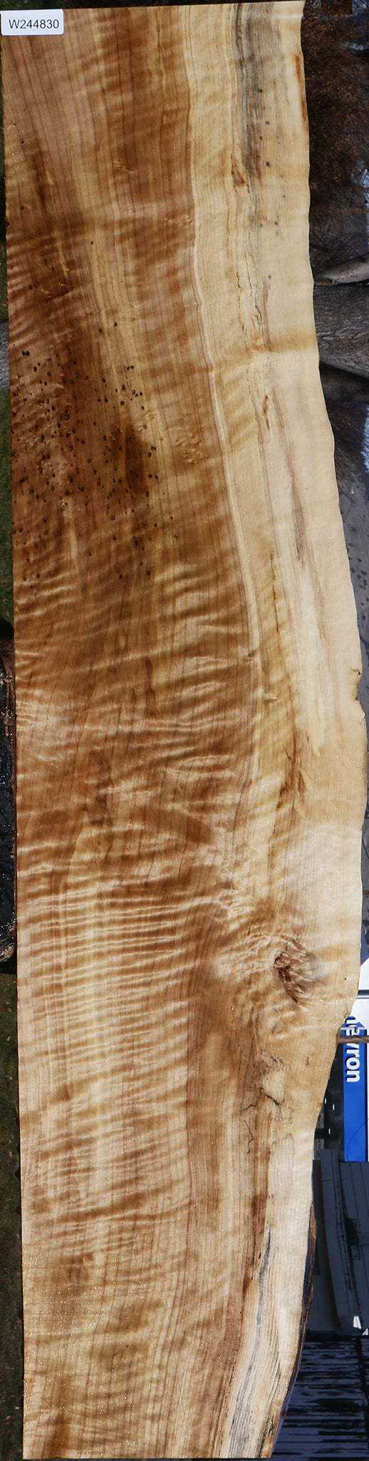 Extra Fancy Rustic Black Cottonwood Live Edge Lumber