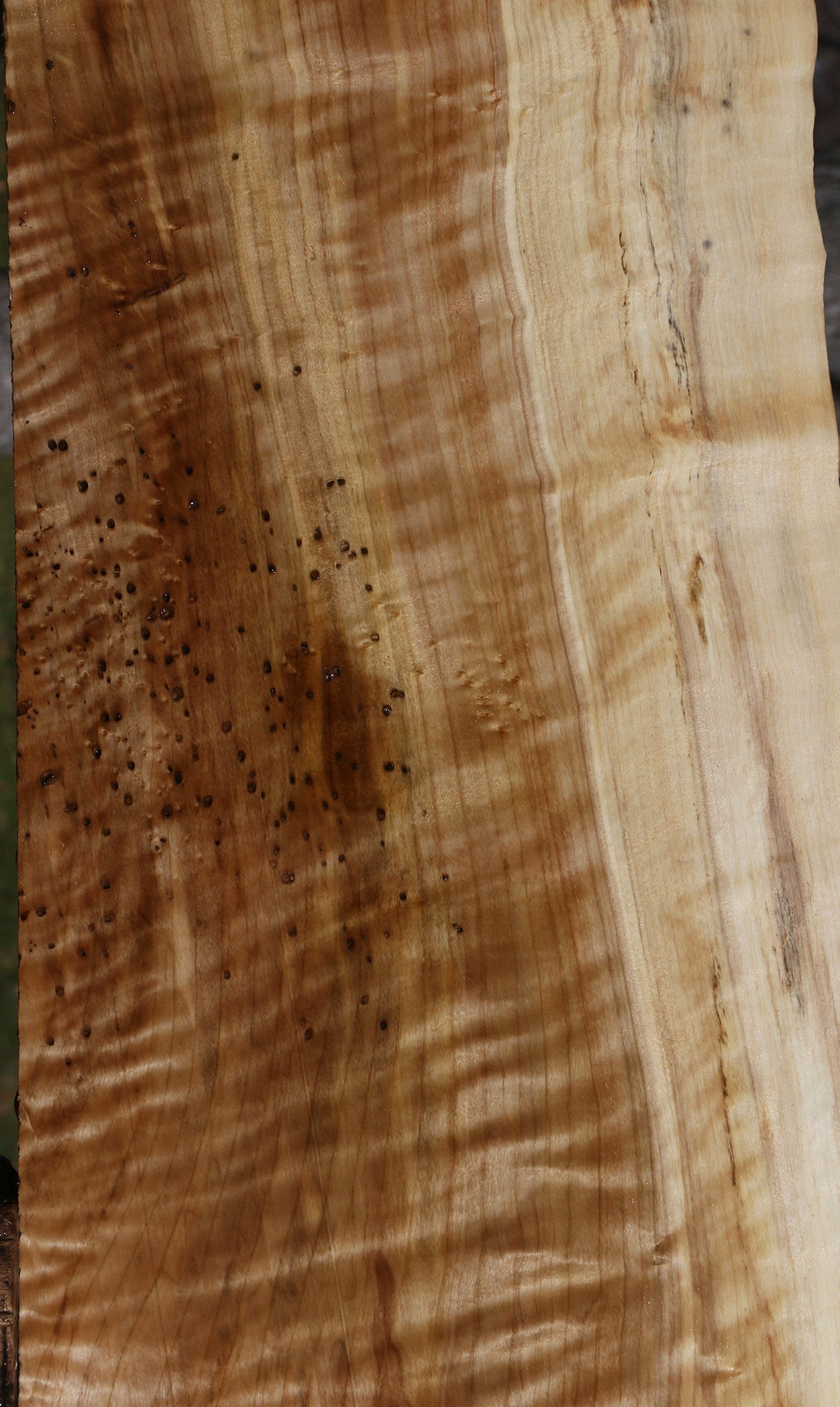 Extra Fancy Rustic Black Cottonwood Live Edge Lumber