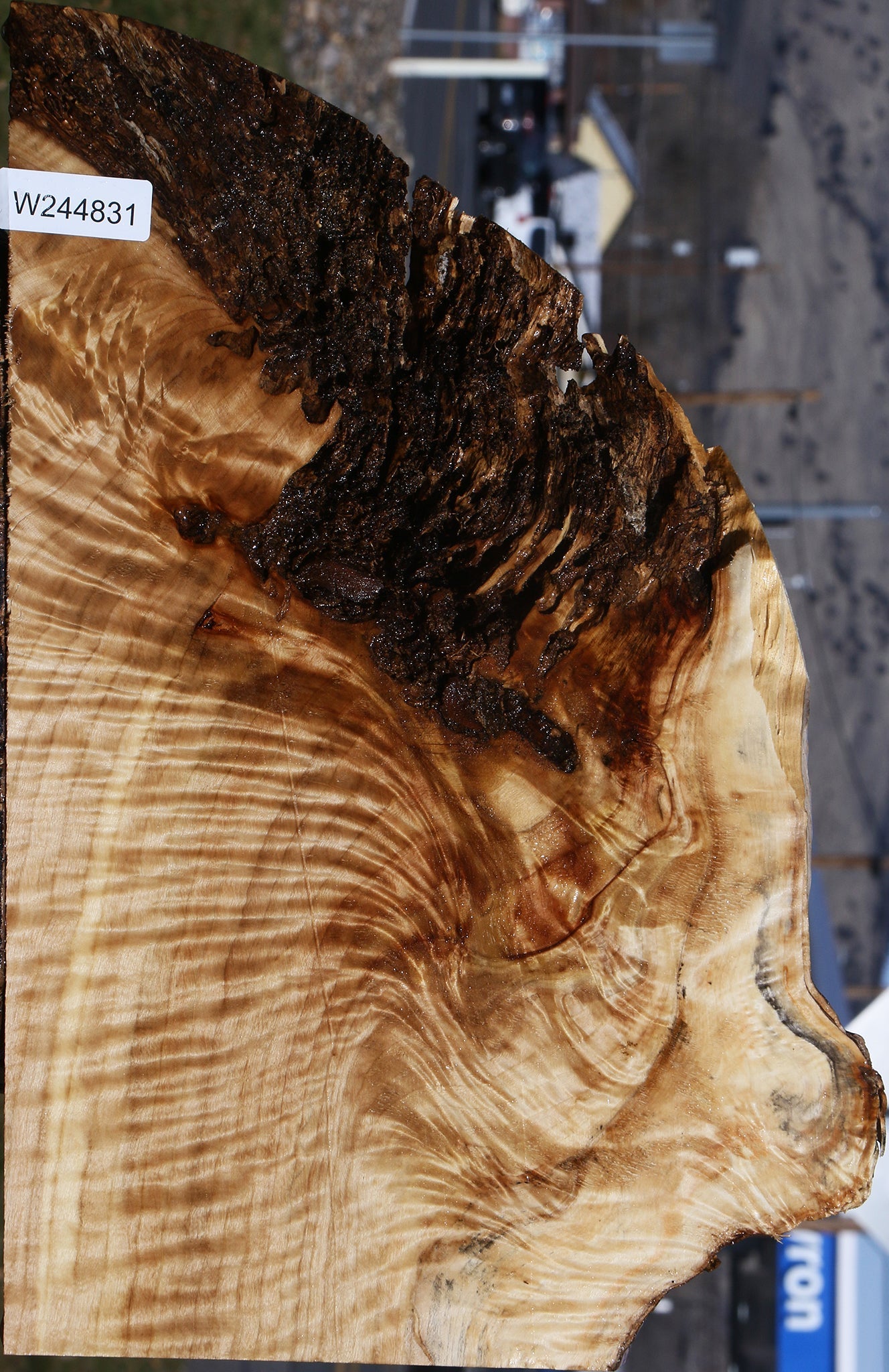 Extra Fancy Rustic Black Cottonwood Live Edge Lumber