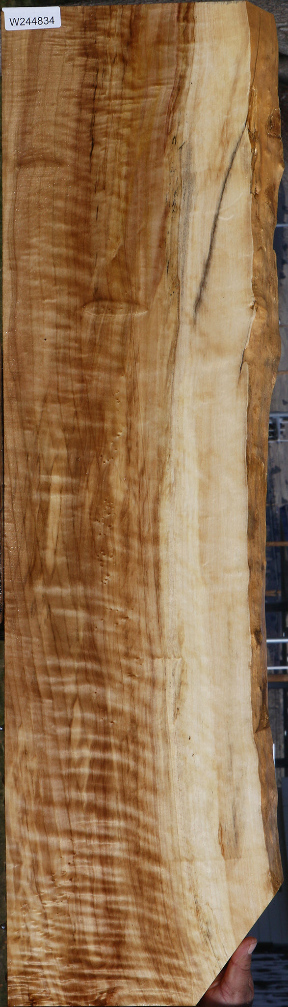 Extra Fancy Black Cottonwood Live Edge Lumber