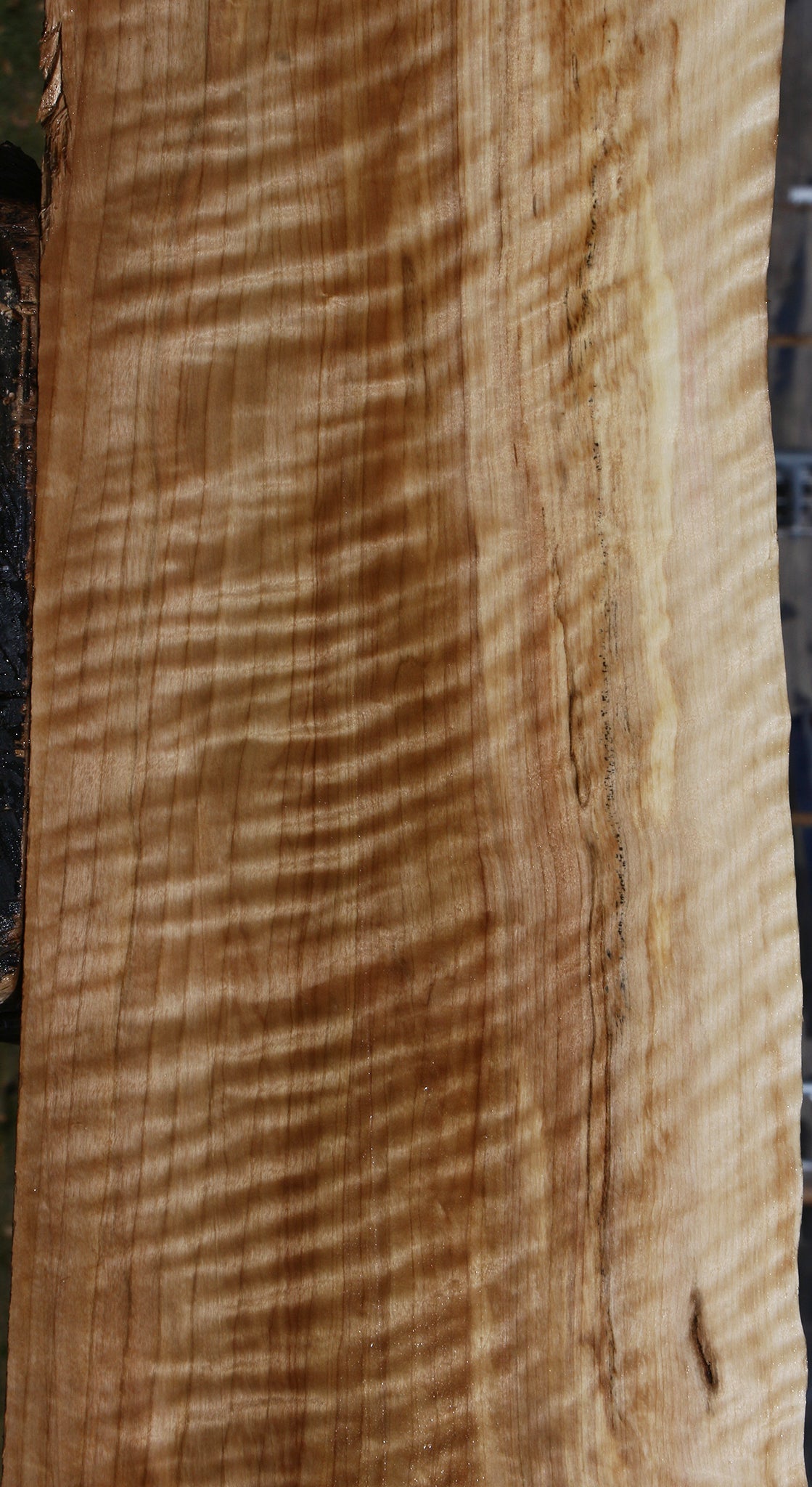 Extra Fancy Black Cottonwood Live Edge Lumber