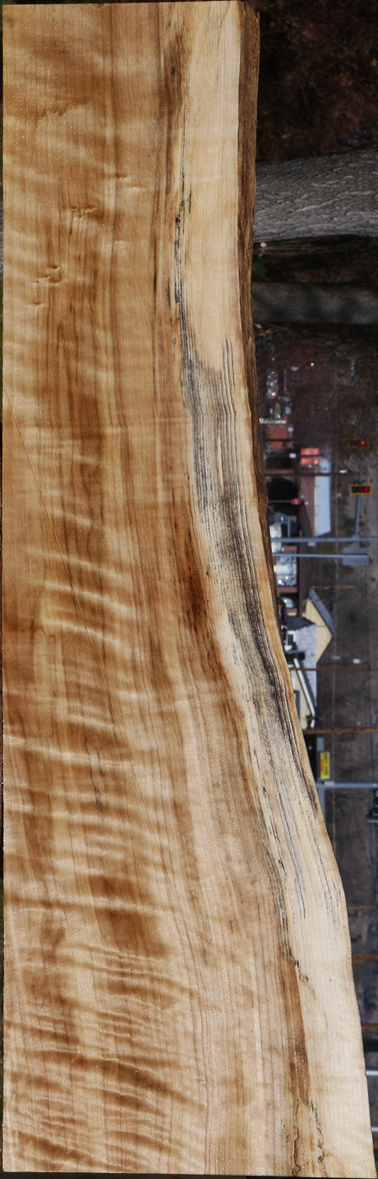 Extra Fancy Black Cottonwood Live Edge Lumber