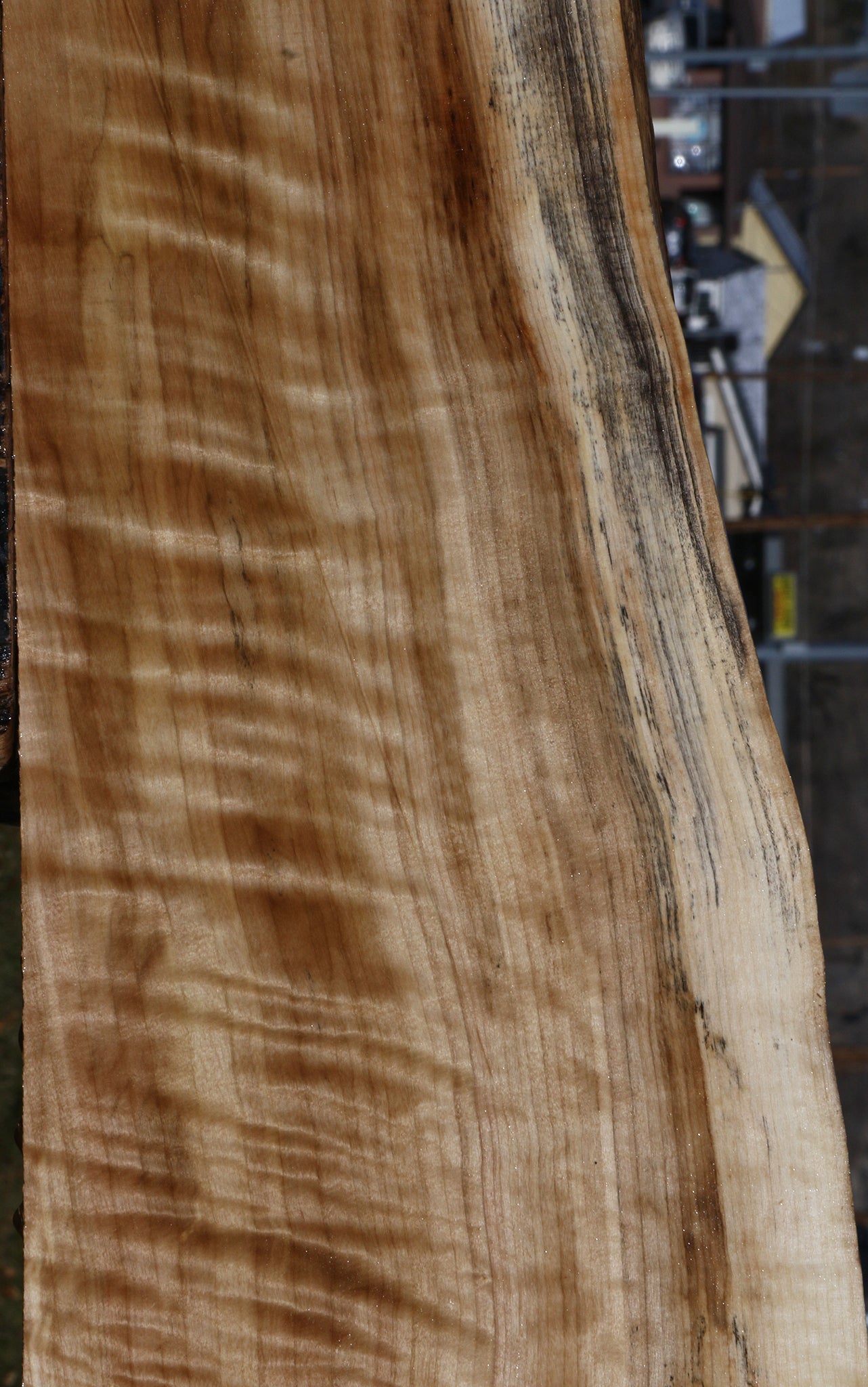 Extra Fancy Black Cottonwood Live Edge Lumber