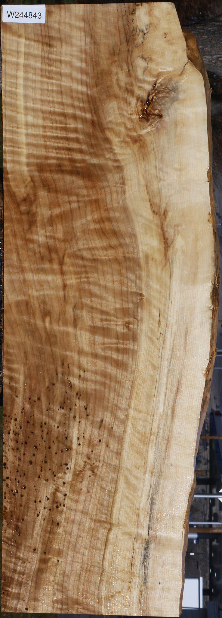 Extra Fancy Rustic Black Cottonwood Live Edge Lumber