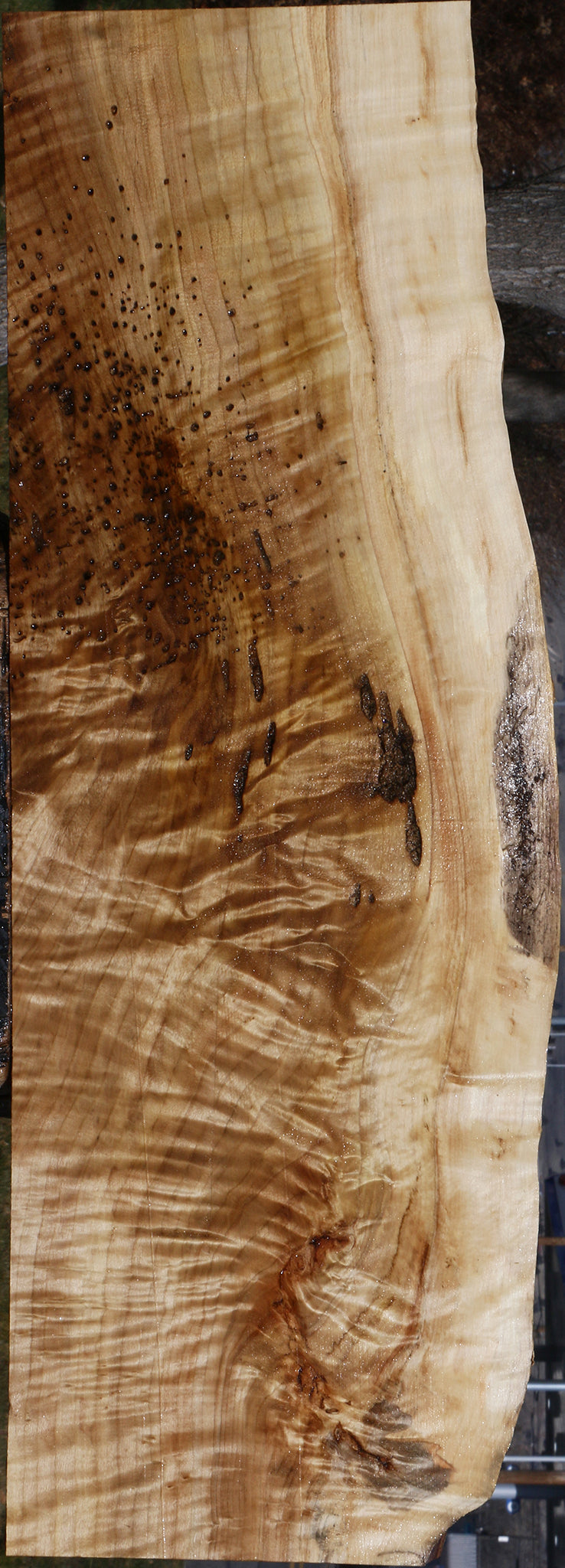 Extra Fancy Rustic Black Cottonwood Live Edge Lumber