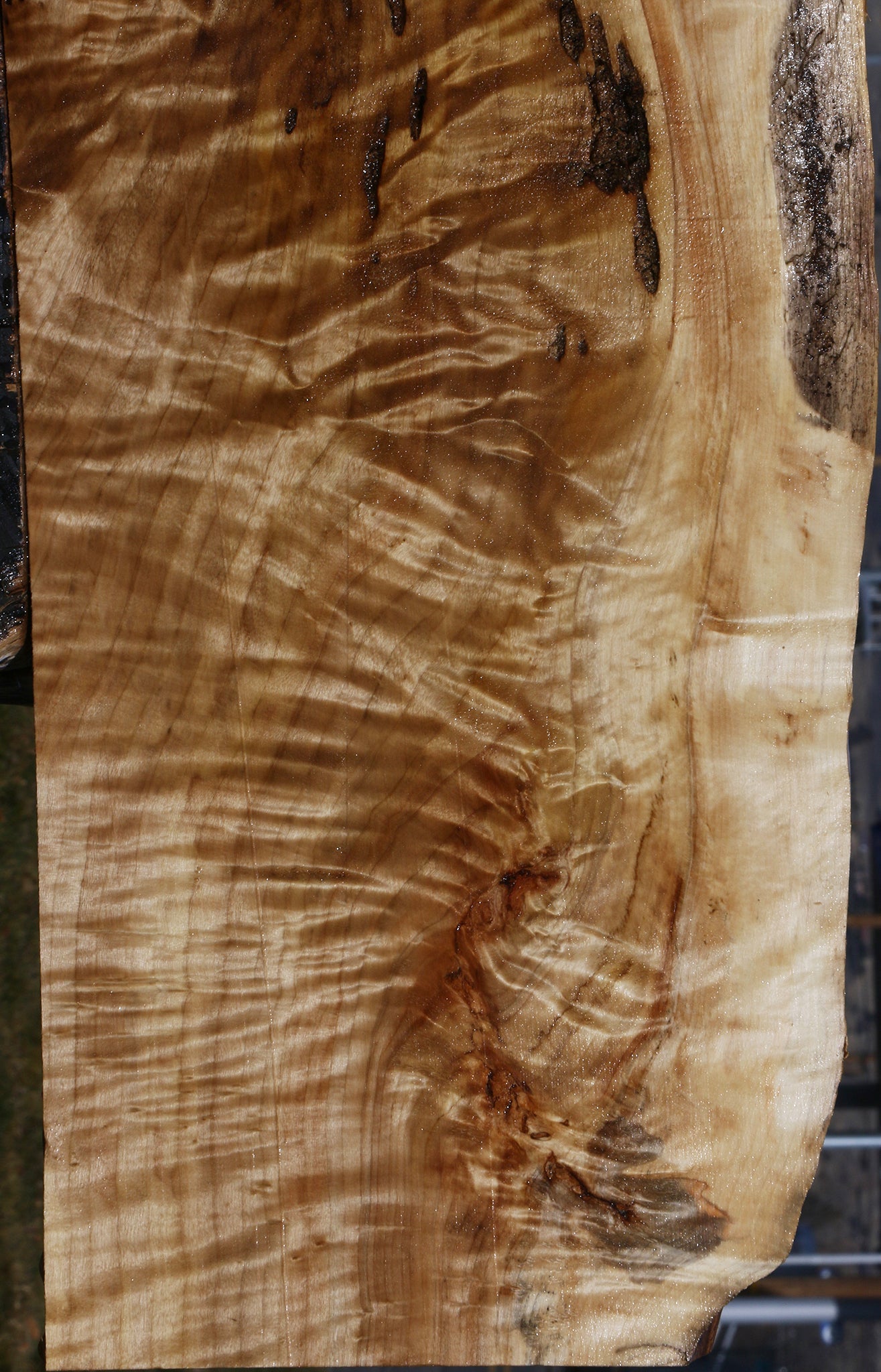 Extra Fancy Rustic Black Cottonwood Live Edge Lumber