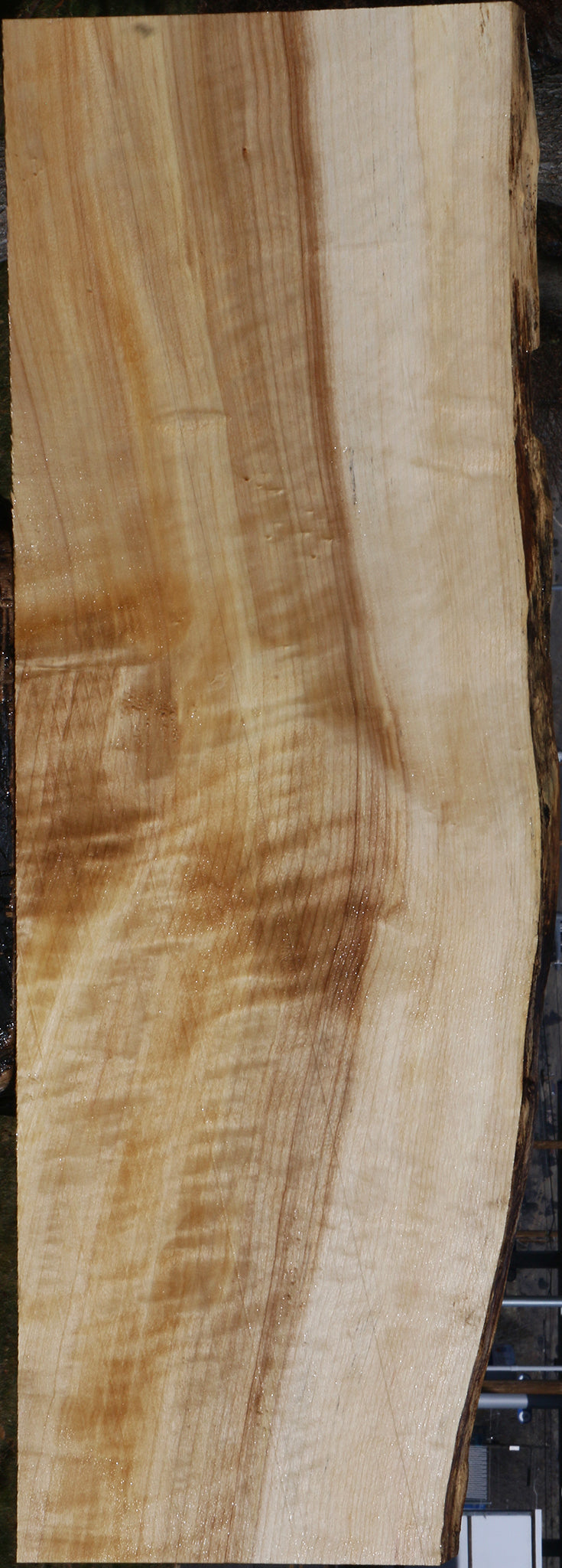 Figured Black Cottonwood Live Edge Lumber