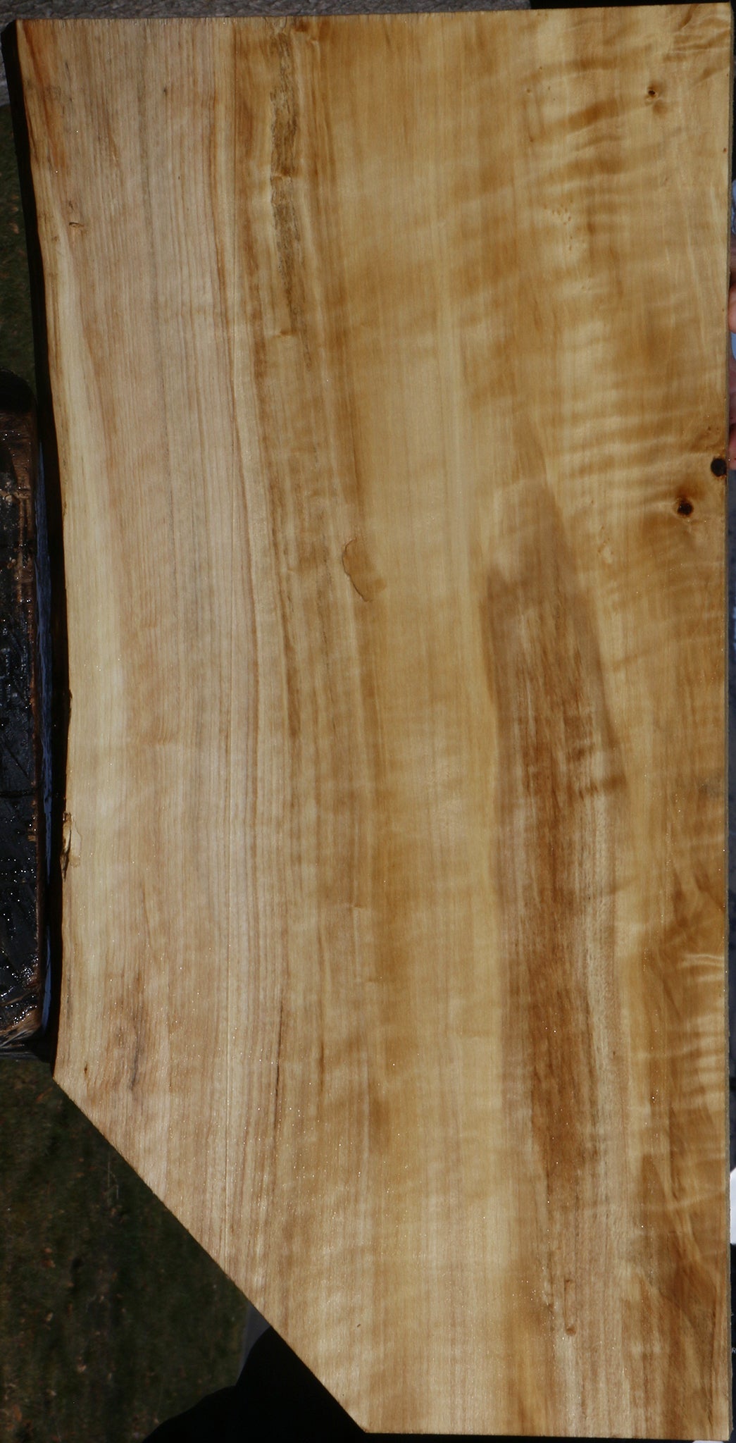 Figured Black Cottonwood Live Edge Lumber