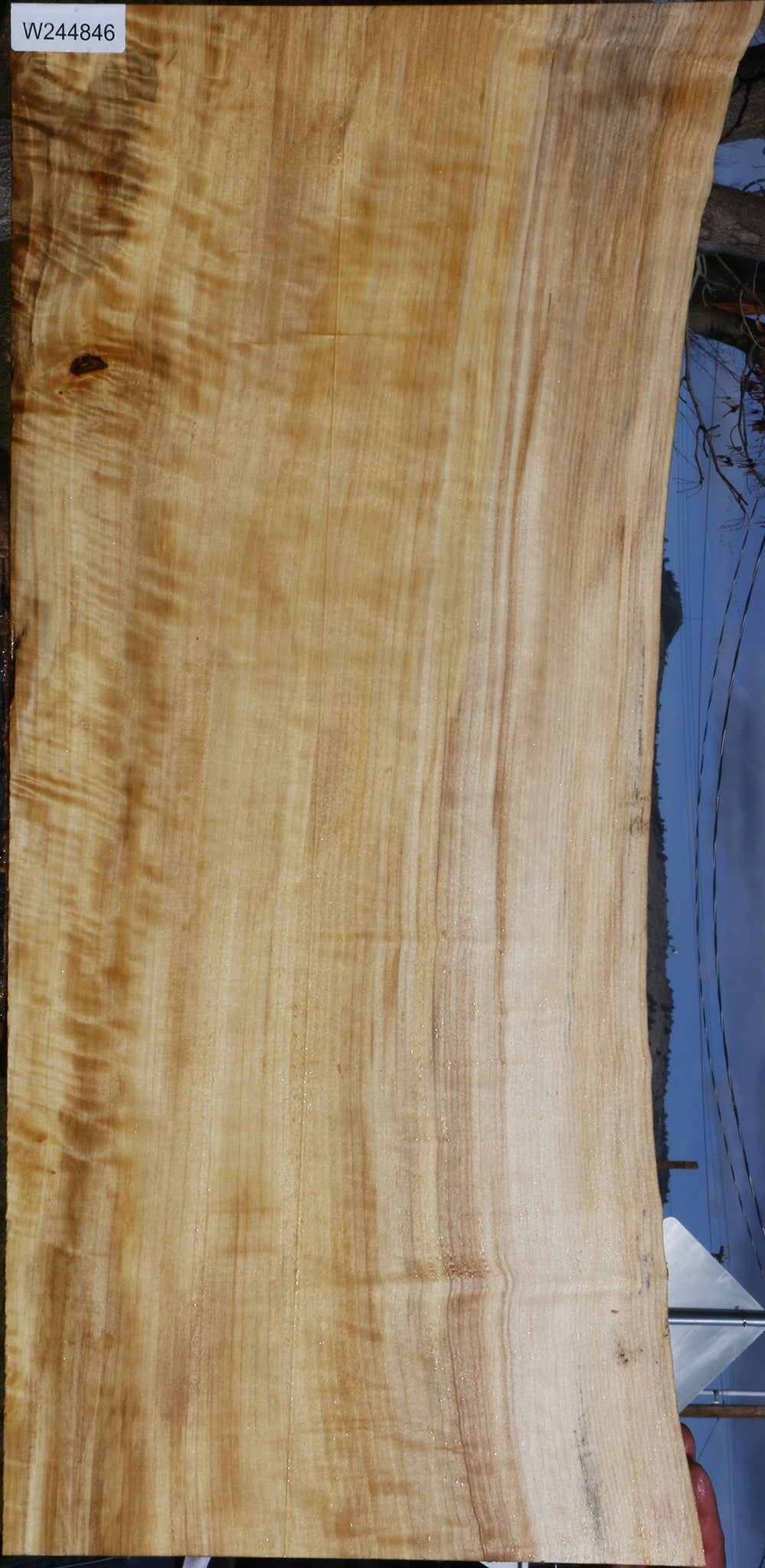 Figured Black Cottonwood Live Edge Lumber
