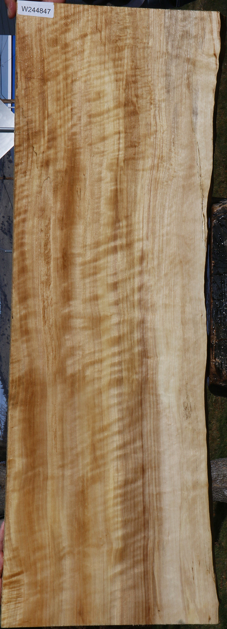 Extra Fancy Black Cottonwood Live Edge Lumber