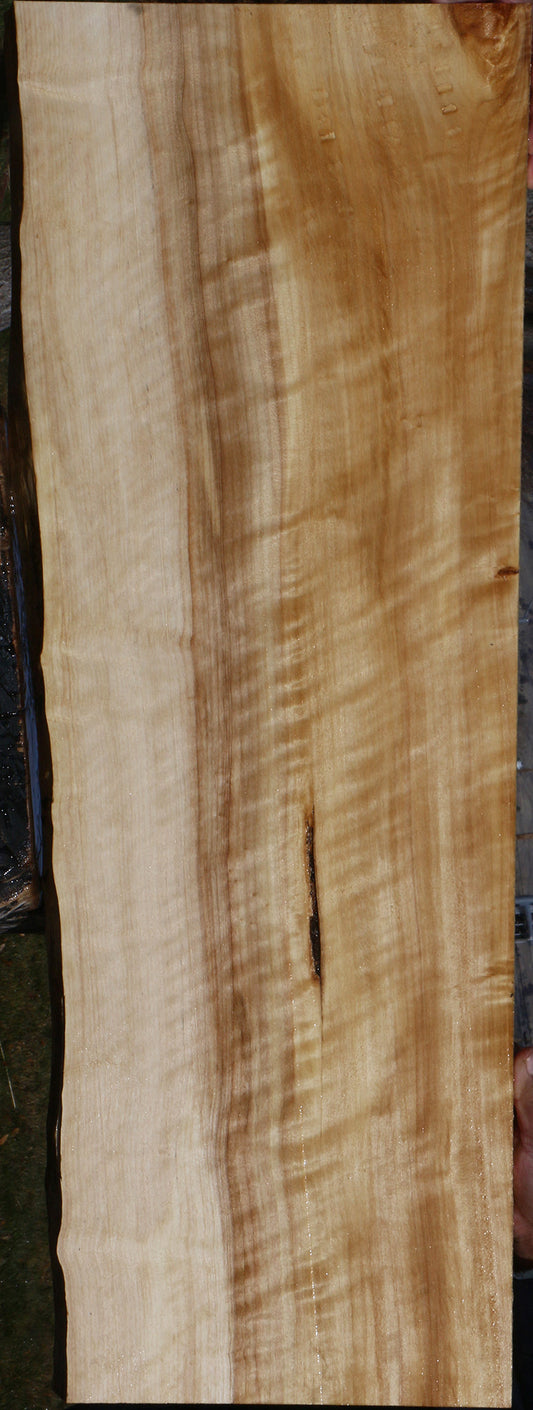 Extra Fancy Black Cottonwood Live Edge Lumber