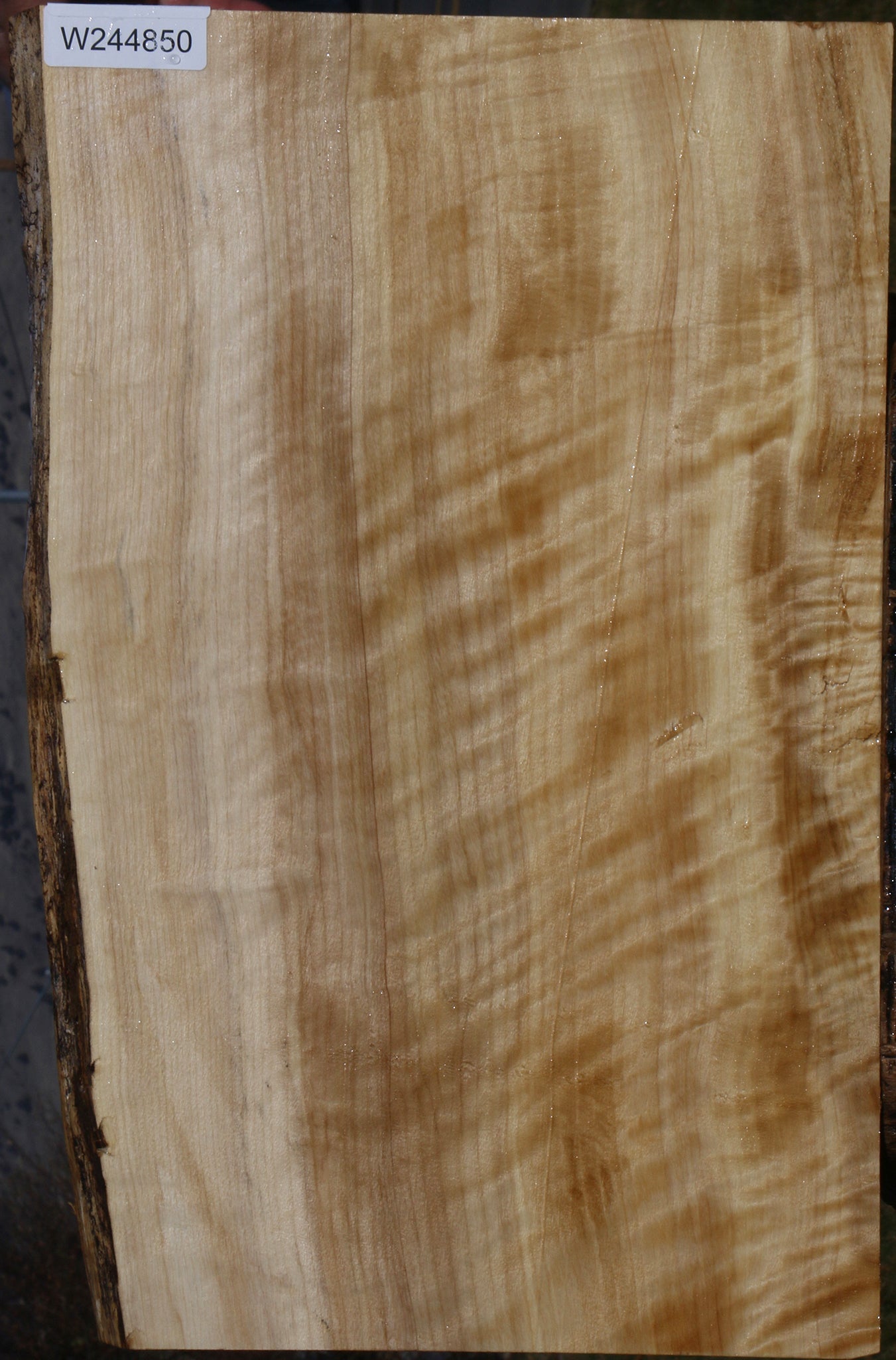 Extra Fancy Black Cottonwood Live Edge Lumber